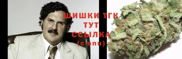 крисы Белоозёрский