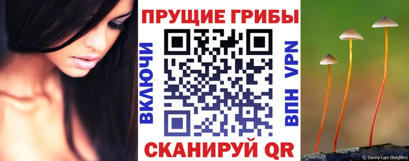 Псилоцибиновые грибы Magic Shrooms  Горняк 